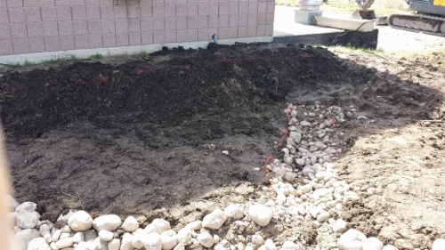 Winton Rain Garden 2014 (5)